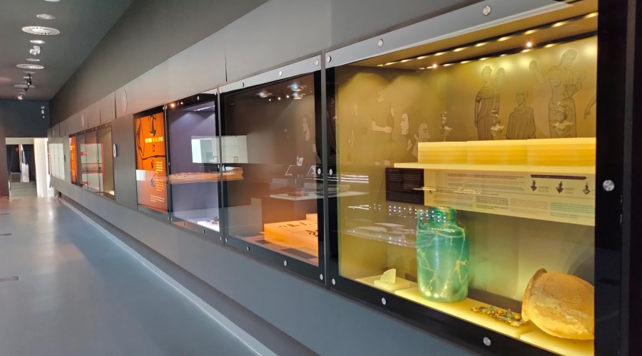 Visita al Museo Oiasso