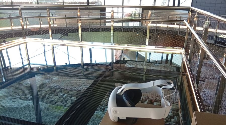 Oiasso museora eta termetara bisita