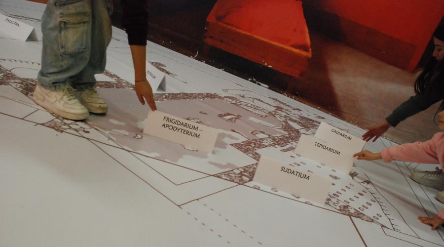 Ibilbide bat termetatik