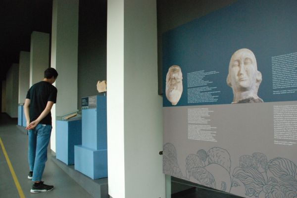 mer-vis-03E30B6894-9D89-9773-8FA9-E891089D3994.jpg