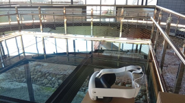 Visite guidée du Musée Oiasso et des thermes